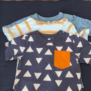 Lot of 3 boys Tea Collection shirts, size 4T